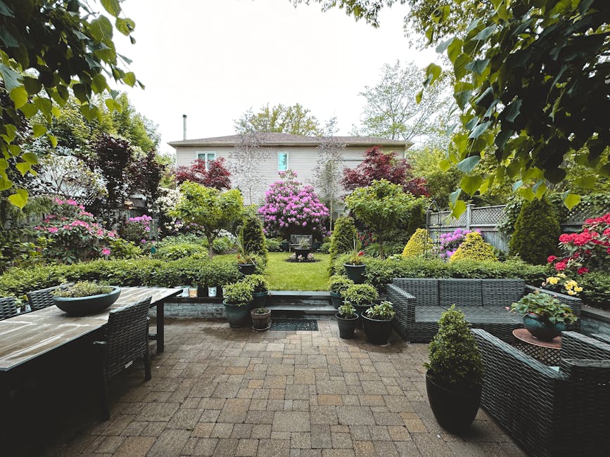 Backyard transformation with garden and lawn renovation