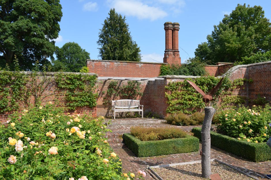 After photo — beautiful maintained garden with fresh plantings
