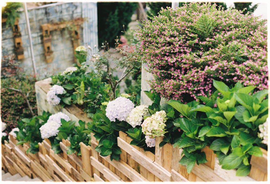 Custom landscape design with garden beds and plants