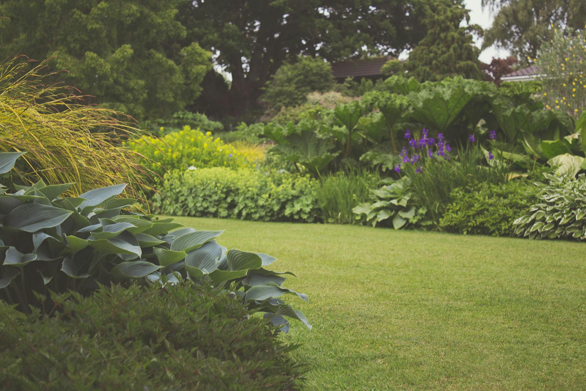 Lush green yard and garden transformation