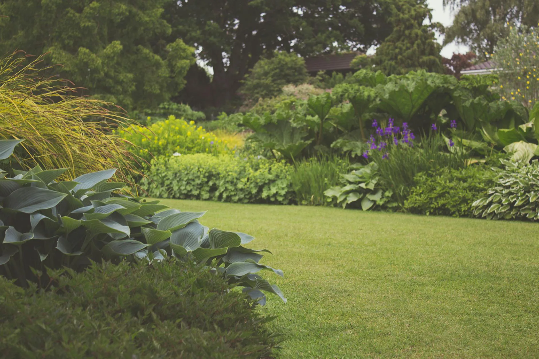 Lush green yard and garden transformation