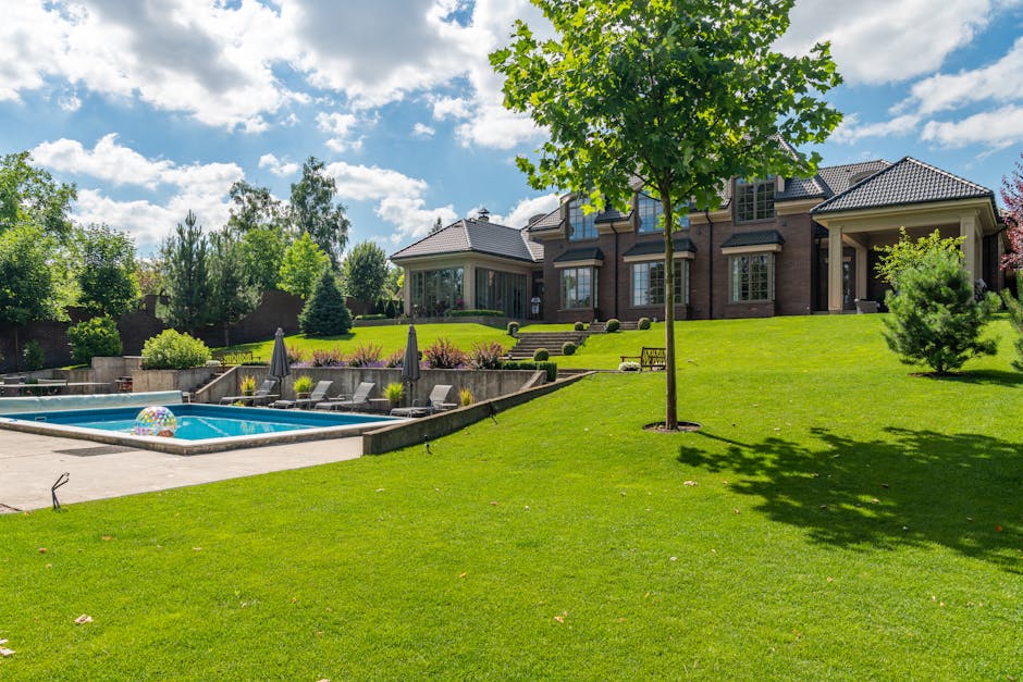 After photo — lush green manicured lawn by Green Horizons