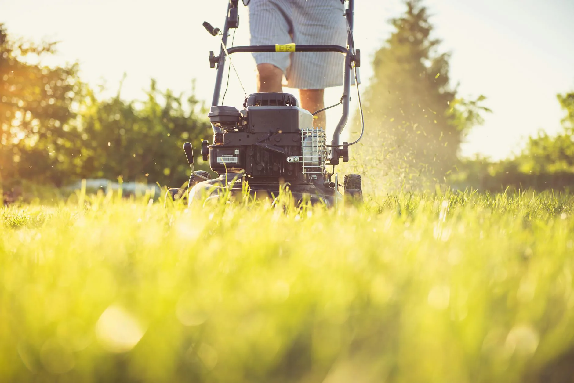 Residential lawn care and maintenance frequently asked questions