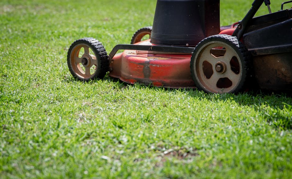 Lawn mowing with clean stripes — professional lawn care result