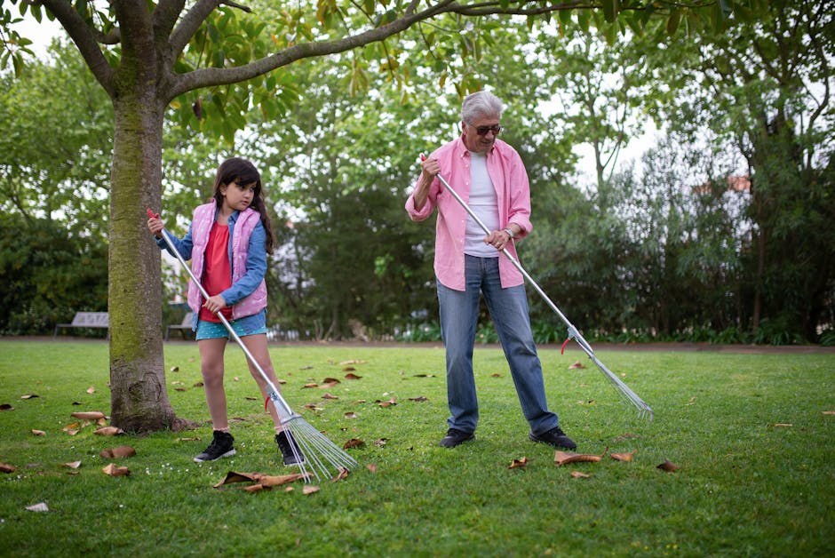 Fall yard cleanup and seasonal lawn care service