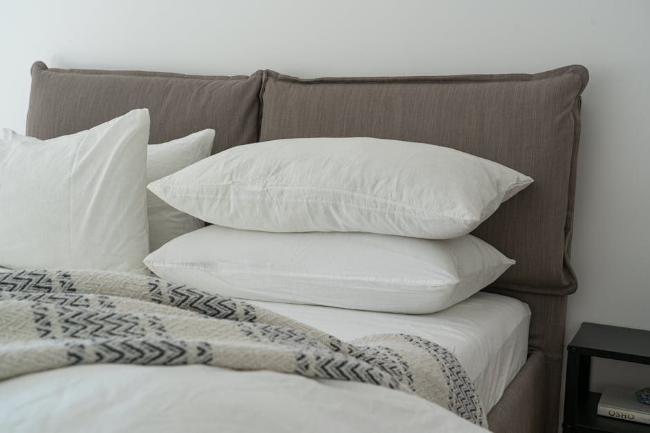 Professional bed bug treatment for Austin homes — heat and chemical treatment available