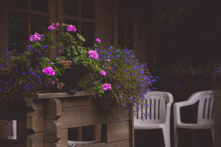 Family and pets enjoying outdoor backyard safely — Shield Pest mosquito control Austin